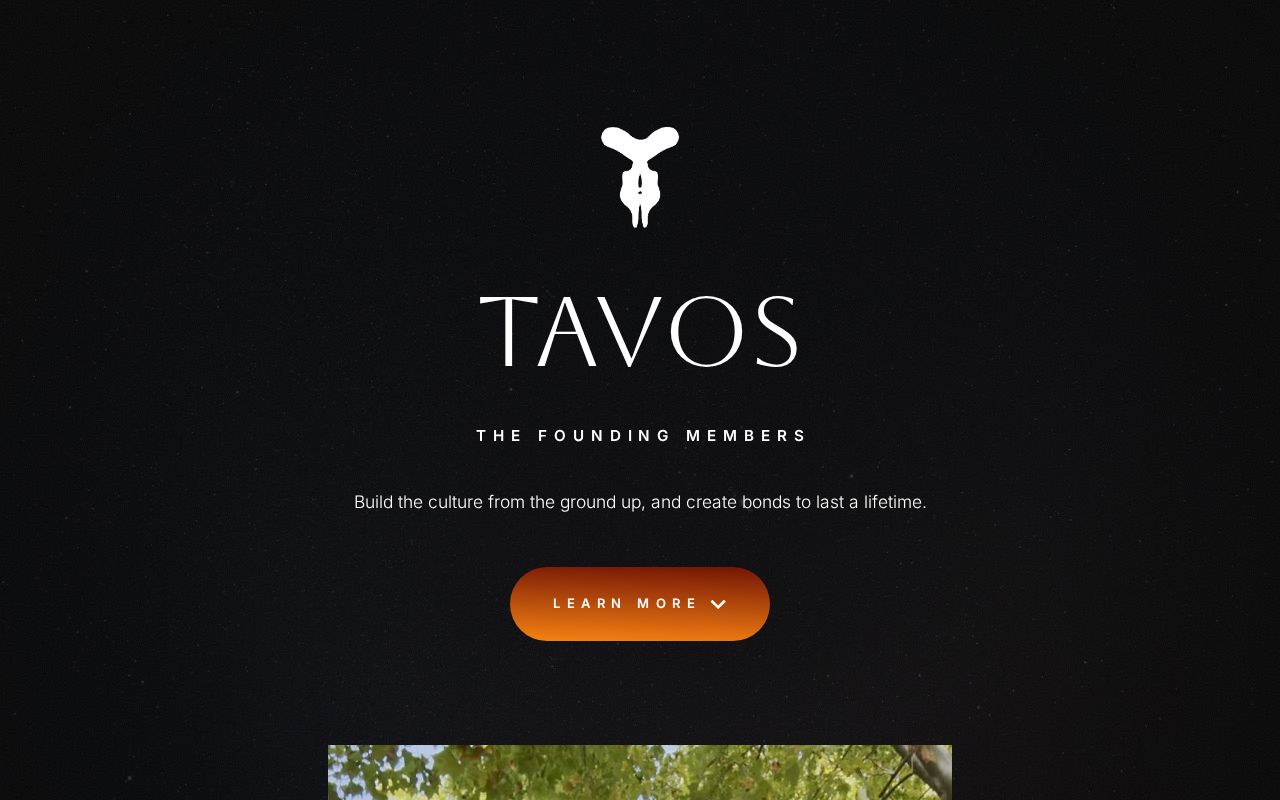 Carrd profile picture for @tavos
